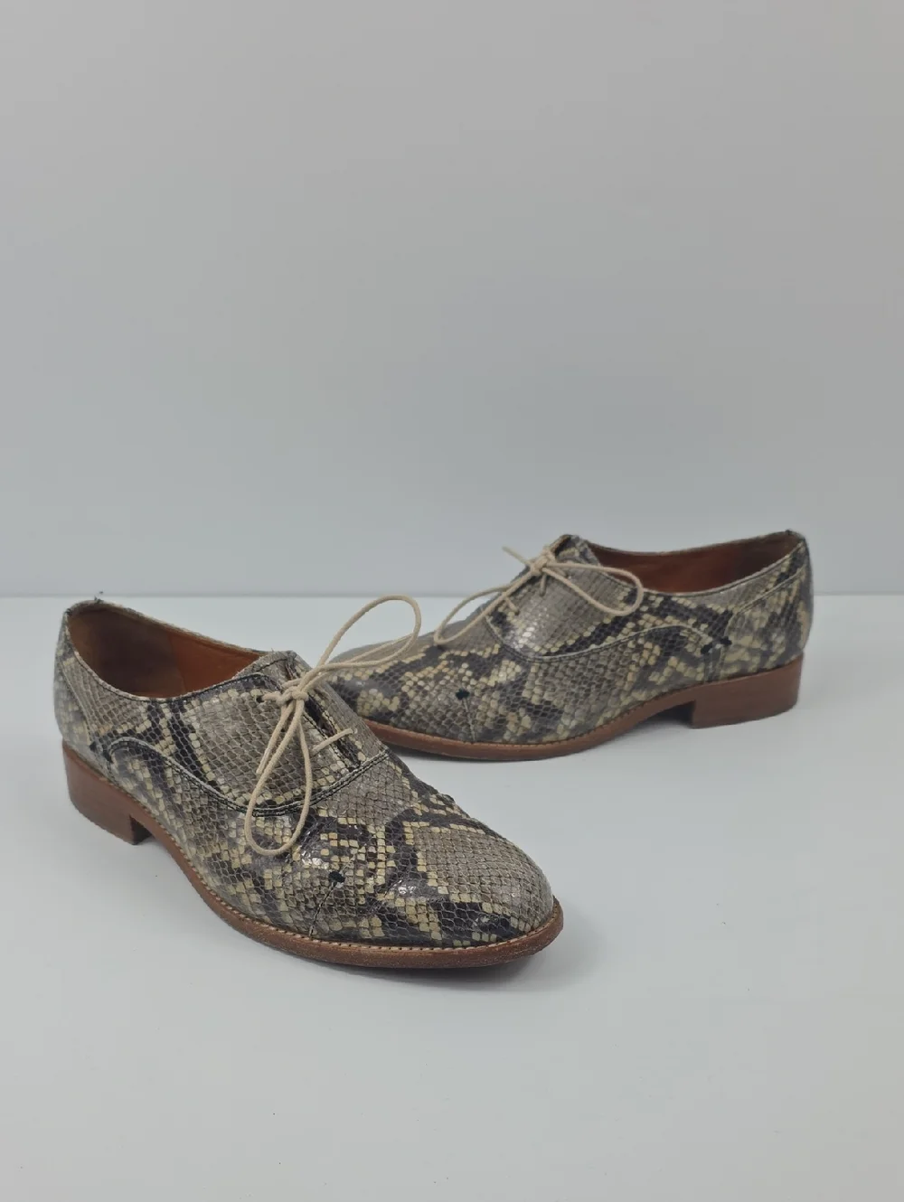 Two24 By Ariat Austen Snakeskin Women's Oxford Shoes‎ Size 8